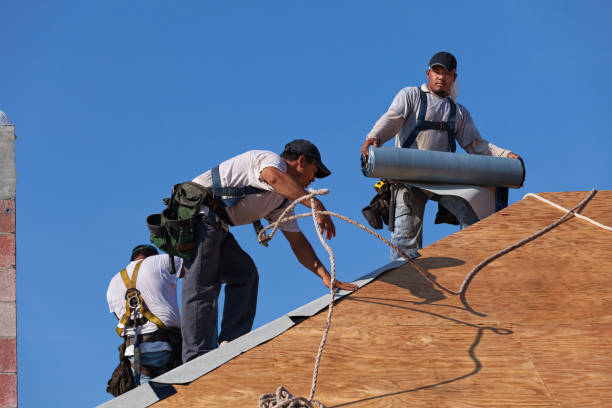 Best Roof Maintenance Services  in Barberton, WA